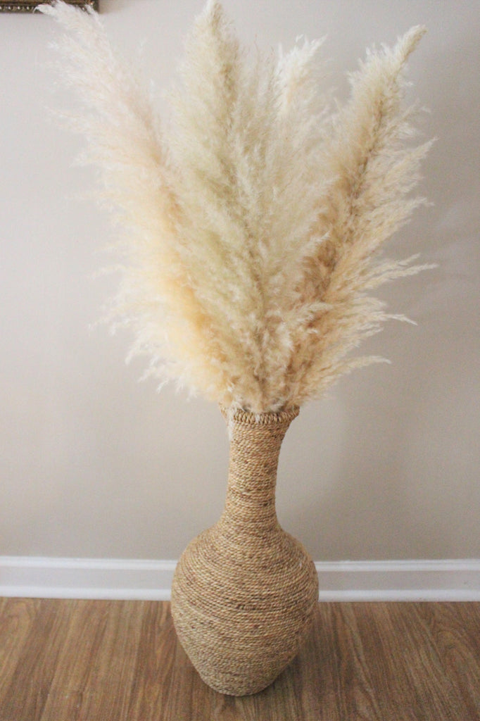 How to Preserve Pampas Grass Flowers for Decorating