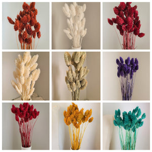 Artificial Flower Arrangements, Bunny Tails Dried Flowers