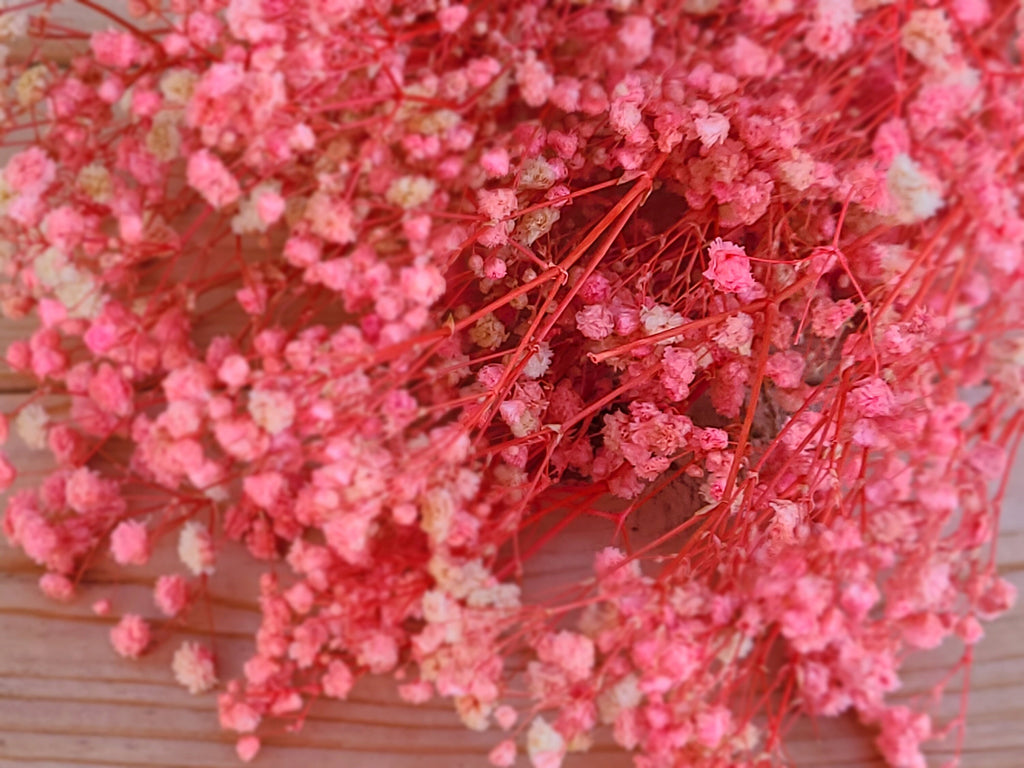 Pink Preserved Gypsophila Flower Bundle - 23-28.5